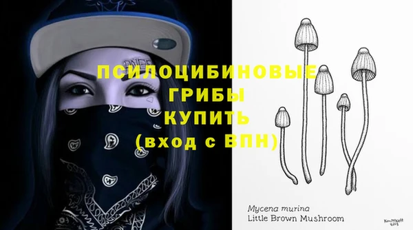 экстази Михайлов