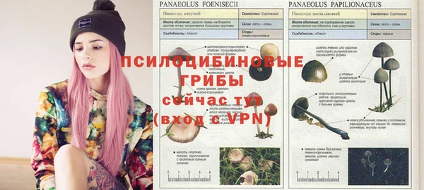 стафф Михайловка